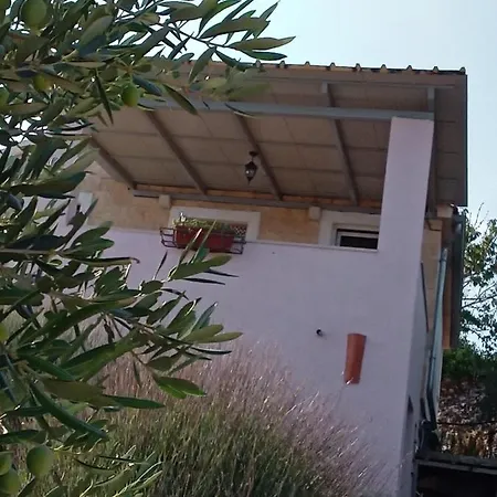 Olive House