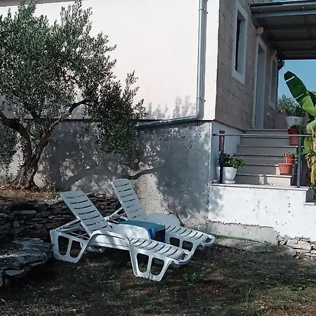 Olive House